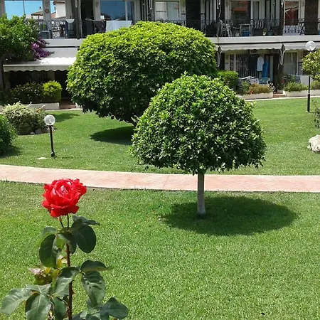 Carihuela Park Palace *